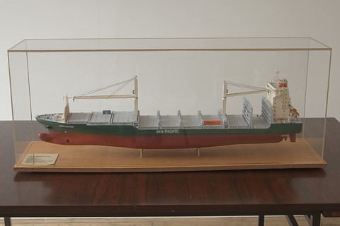 Maquette de bateau : porte-conteneur Cape Nelson sous verre